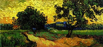 van-gogh-whet-field